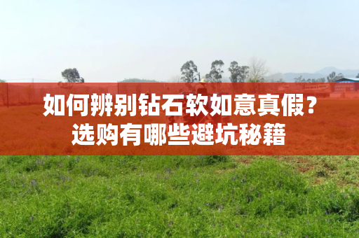 如何辨别钻石软如意真假？选购有哪些避坑秘籍
